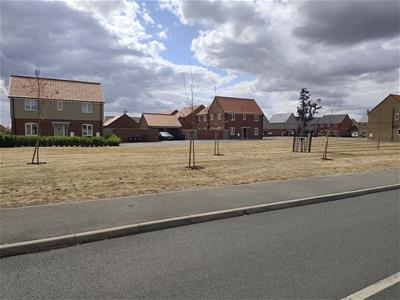 Picture 17